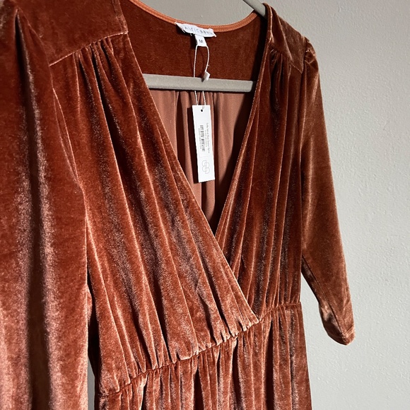 NWT  Sofia Velvet Maxi Dress - Spice - Size M - Picture 4 of 4